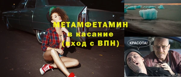 прущие грибы Армянск